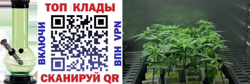 APVP Кострома