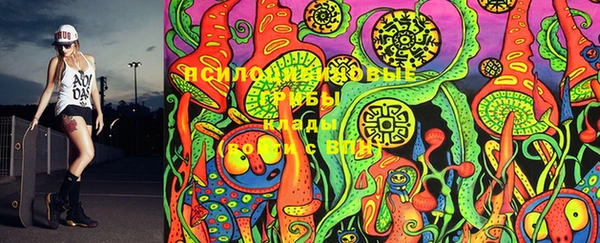 MDMA Гусиноозёрск