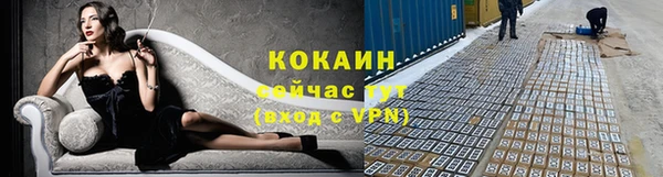 мяу мяу мука Гусь-Хрустальный